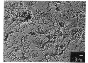 What is InterGranular Corrosion – IGC
